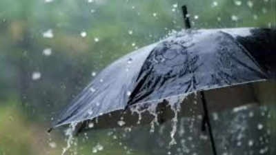 IMD upgrades rain alert, heavy rain 'very likely' in Mumbai, Thane