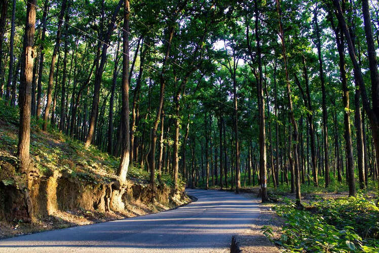 Dehradun