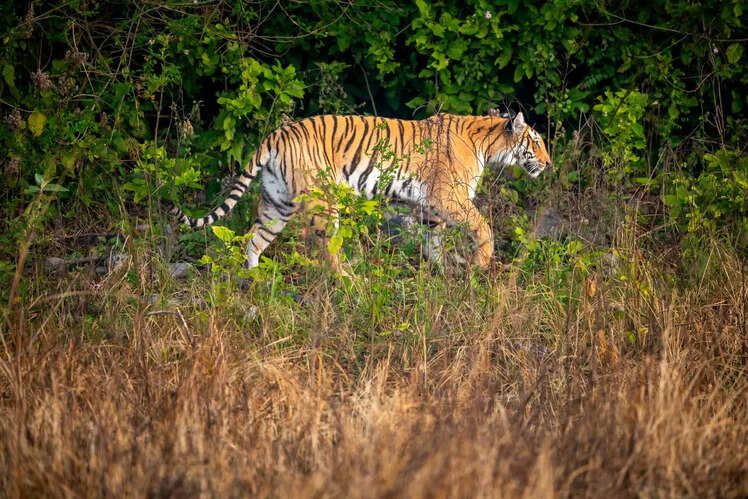 Rajaji National Park