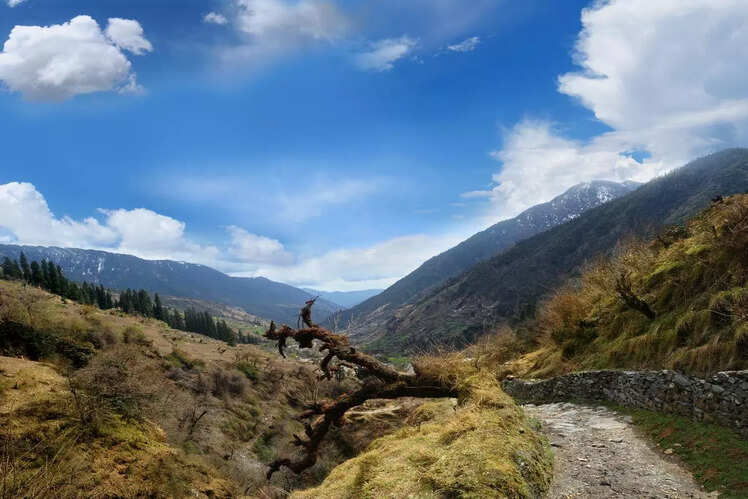 Landour