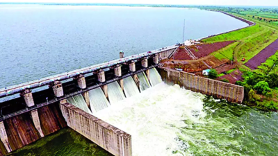 Amid rains, water starts flowing into 'dry' Manjara dam in Marathwada region