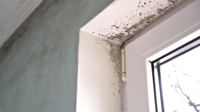 Mould in your home? Major health risks it can pose