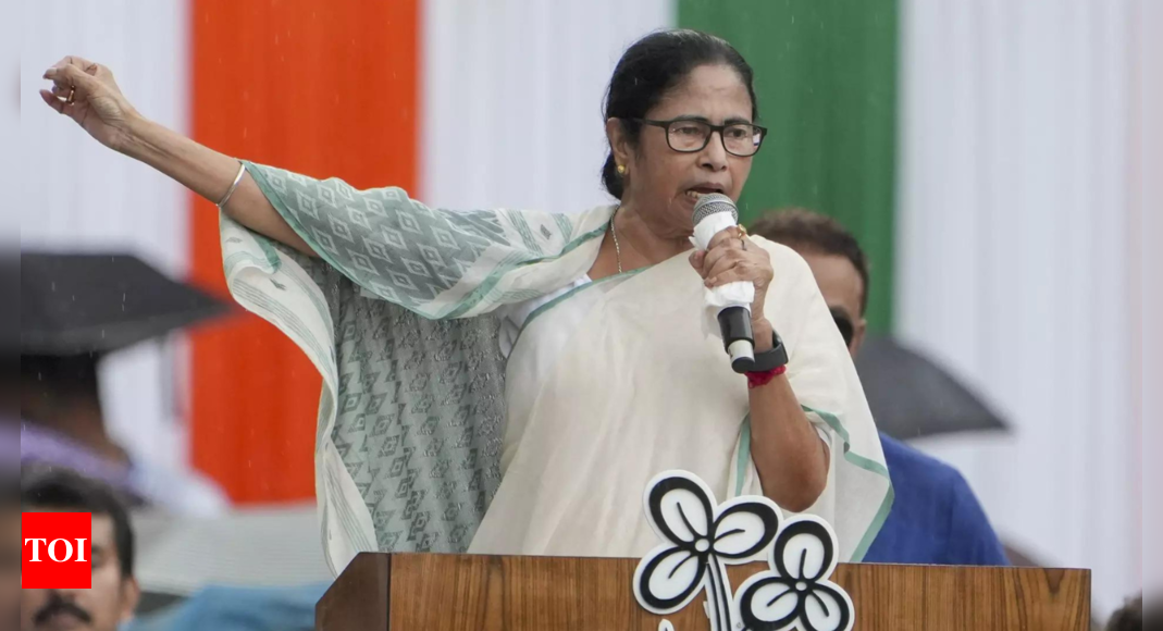 Mamata Banerjee Postpones New Delhi Trip