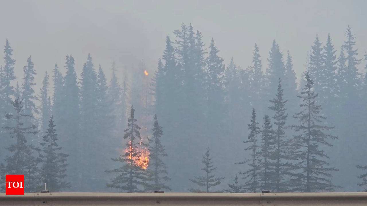 Jasper Forest Fire: Valemount: How Jasper wildfire ruined lives in Canada |  World News - Times of India