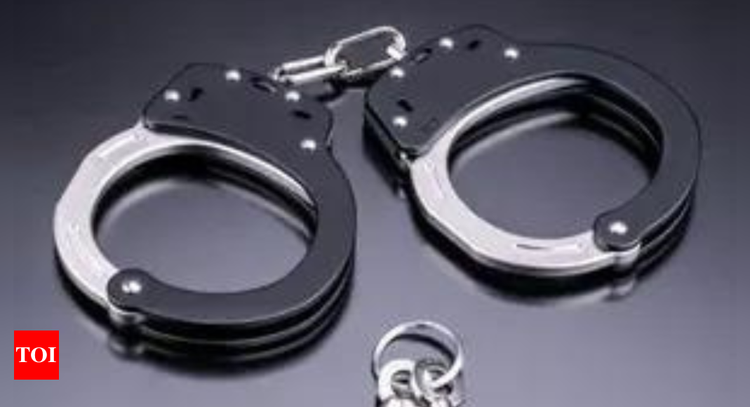 ‘Robber grandpas’: Elderly trio charged with burglary in Japan – Times of India