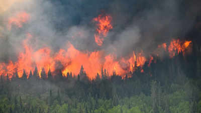 Devastating Wildfire Ravages Jasper: 25,000 Evacuated as Flames Devour Up to Half of the Town