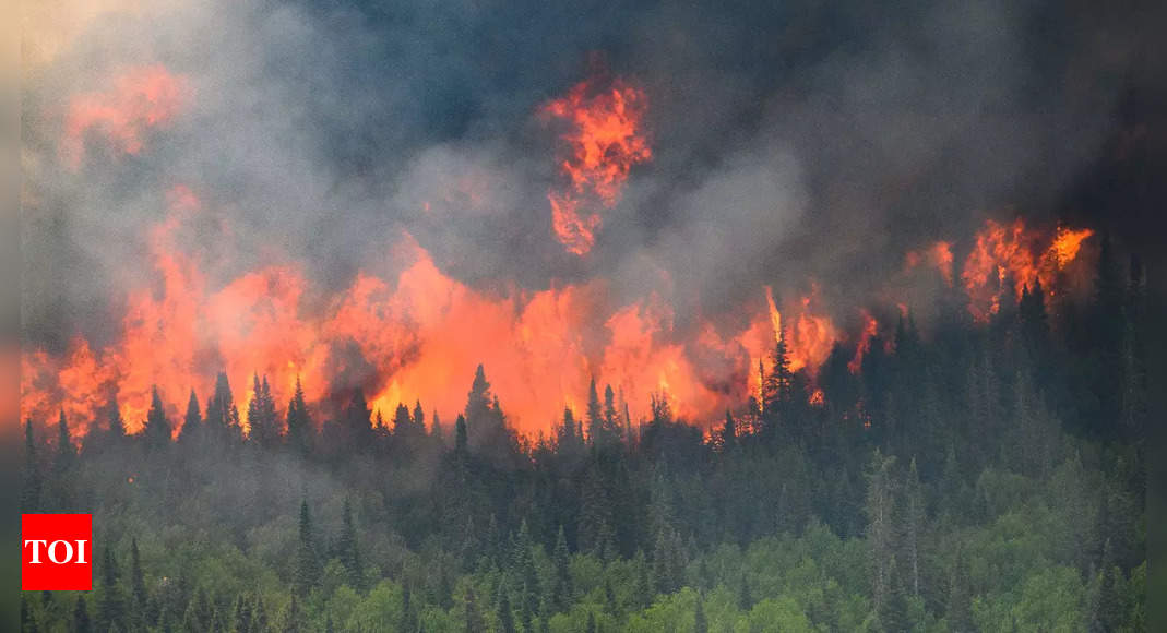 Devastating wildfires ravage Canada’s Jasper, Alberta: Mass evacuations and international firefighting efforts – Times of India