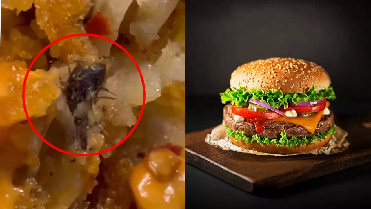 Watch: After dead mouse in chocolate syrup, dead insect found in burger of  a popular joint - Times of India