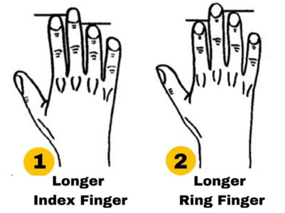 Personality Test: The length of your finger determines your hidden traits