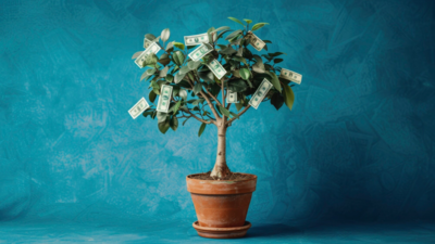 Benefits of Keeping Money Plant at Home