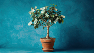 Benefits of Keeping Money Plant at Home - Times of India