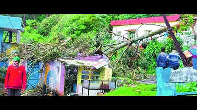 Heavy rain cripples public life in Nilgiris | Coimbatore News – Times of India