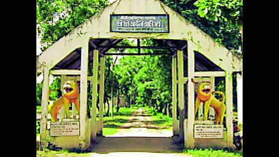 Heritage tag for Majuli river island still uncertain | Guwahati News – Times of India