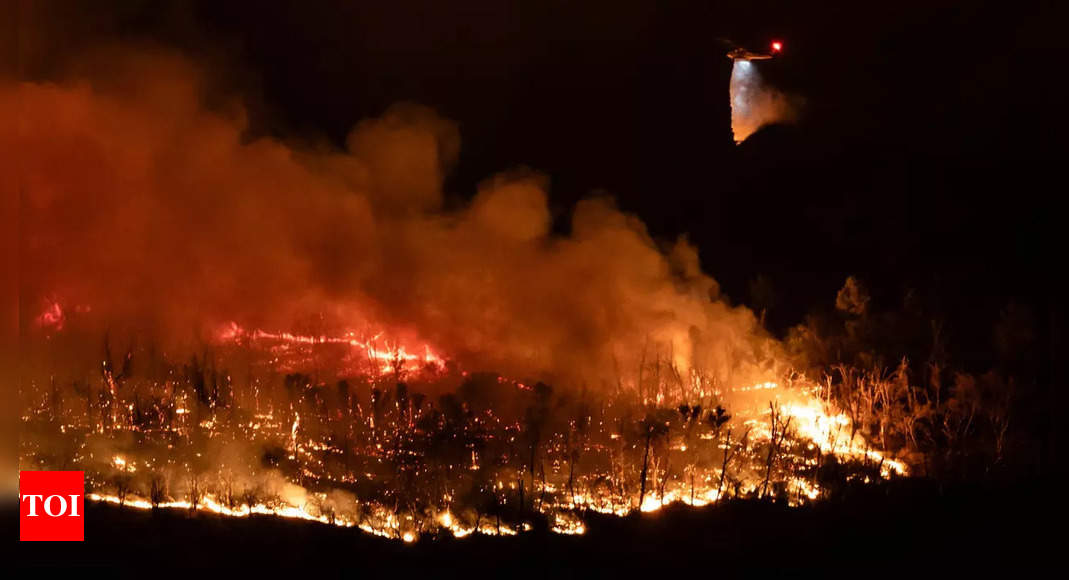 US fire: Massive evacuation ordered as vegetation fire burns 150 acres between Bay Point and Concord – Times of India