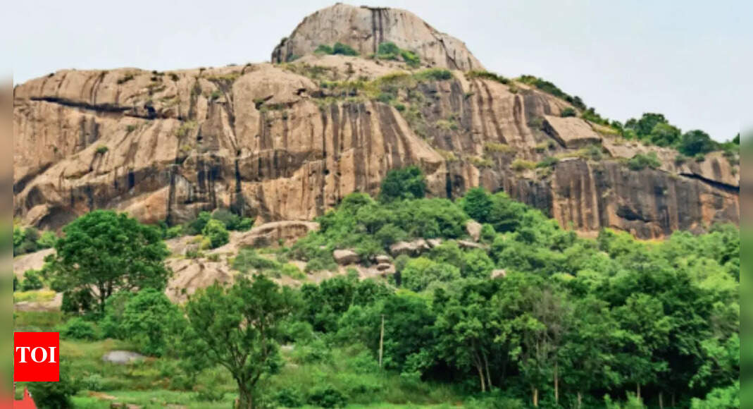 Changing Ramanagara to 'Bengaluru South': New name to fuel growth or ...