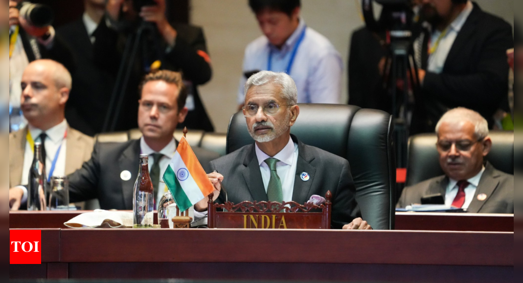 'Be robust ...': India calls for global action to knock down 'terror sanctuaries'