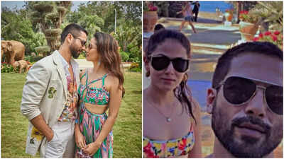 Shahid Kapoor and Mira Rajput's dreamy beach selfie will make you pack your bags! - See post