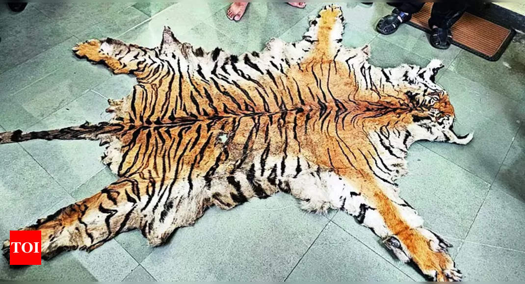 Six Arrested for Trafficking Tiger Skin in Maharashtra