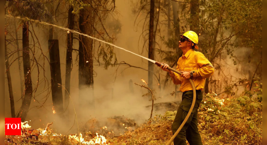 California Park wildfire destroys more than 3.5 lakh acres, becomes largest in US – Times of India