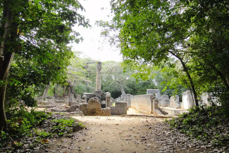 The Historic Town and Archaeological Site of Gedi (Kenya)