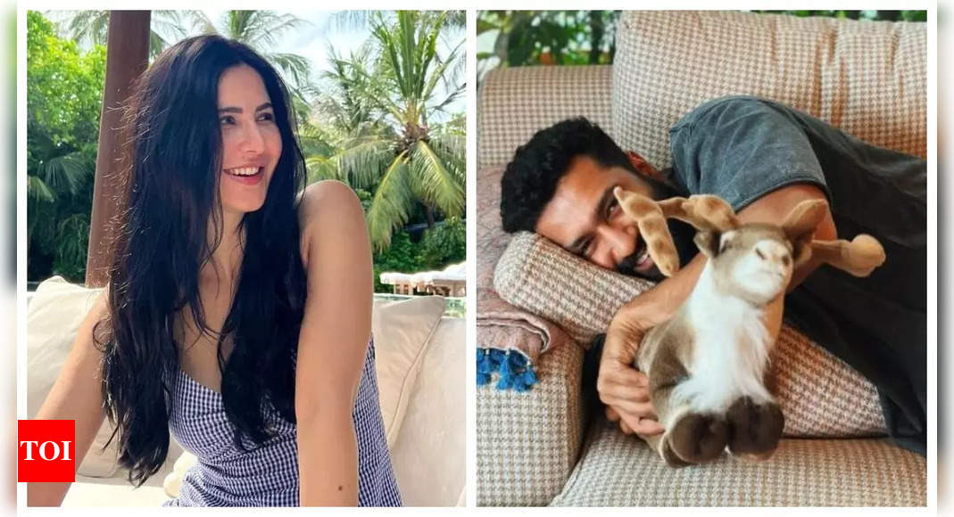 Katrina Kaif turns photographer for husband Vicky Kaushal as they spend a ‘lazy Sunday’ together – See inside |