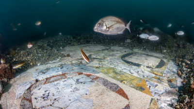 3rd century AD mosaic discovered in submerged Italy villa off Southwestern coast