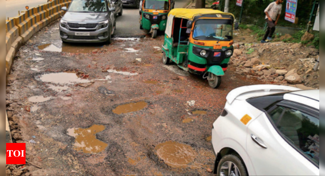 Potholes in Ludhiana