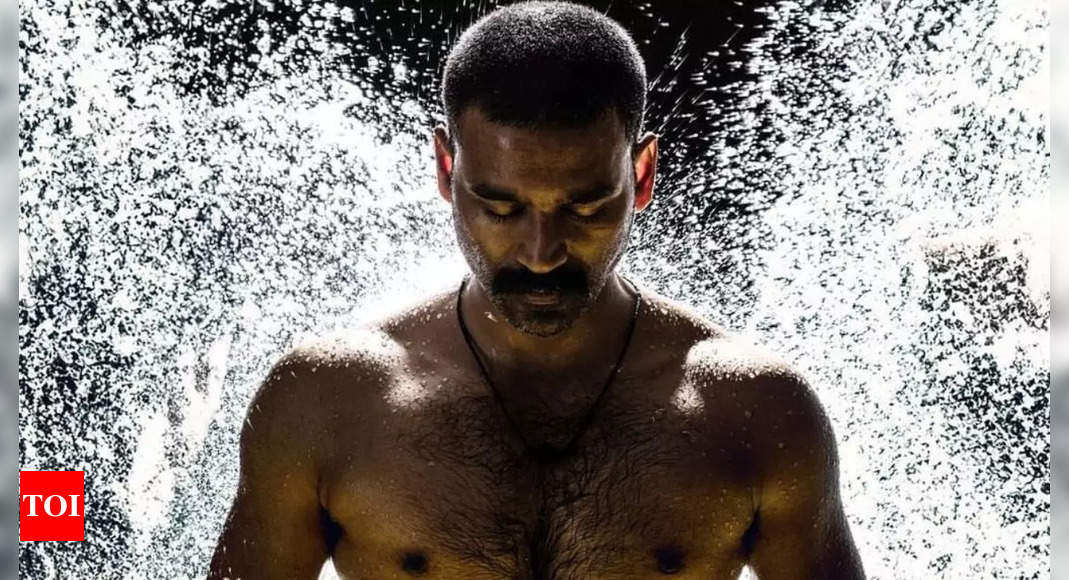 Dhanush's Raayan Receives Widespread Praise