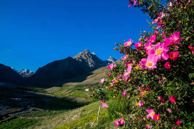 Pin Parvati Trek