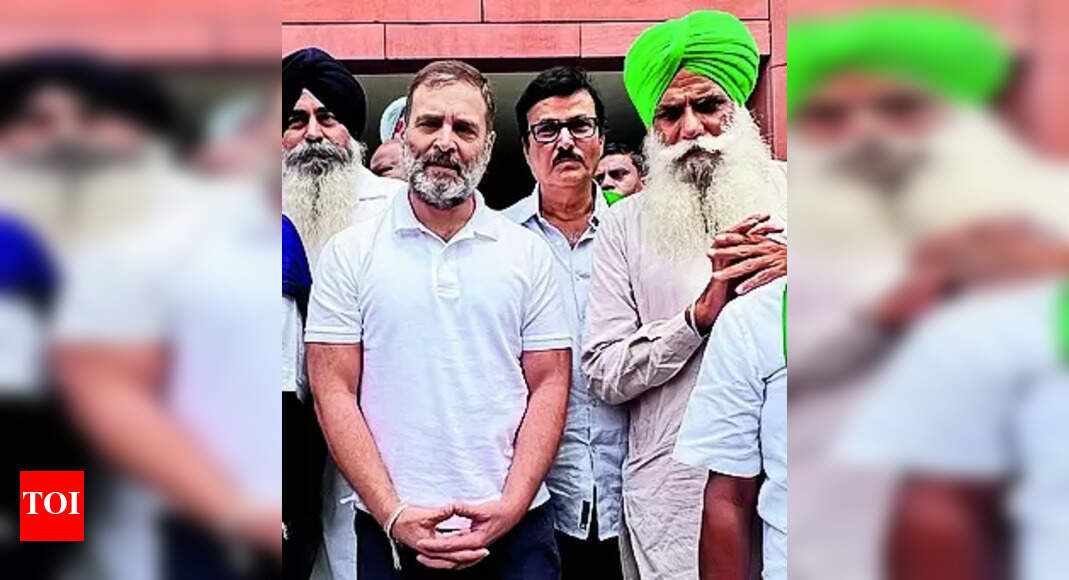 MSP: Farmers welcome Rahul Gandhi's announcement on MSP law in Lok ...