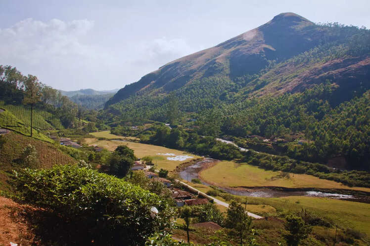 Munnar, Kerala