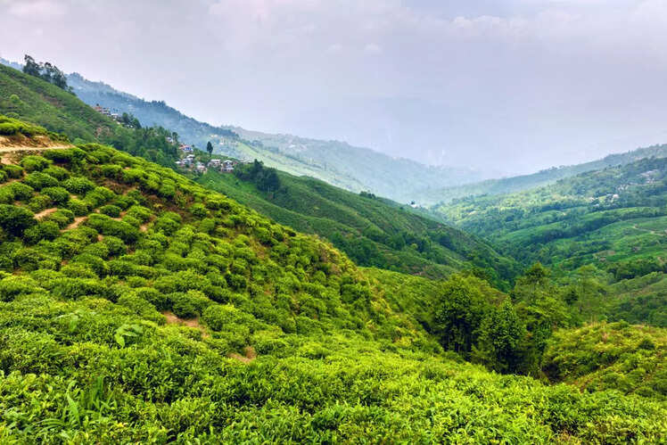 Darjeeling, West Bengal