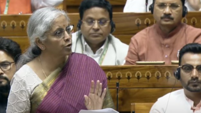 'No sector or state ignored': What FM Sitharaman said in her Budget reply in Lok Sabha