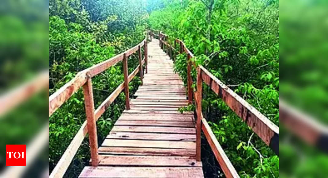 Bhitarkanika National Park reopens