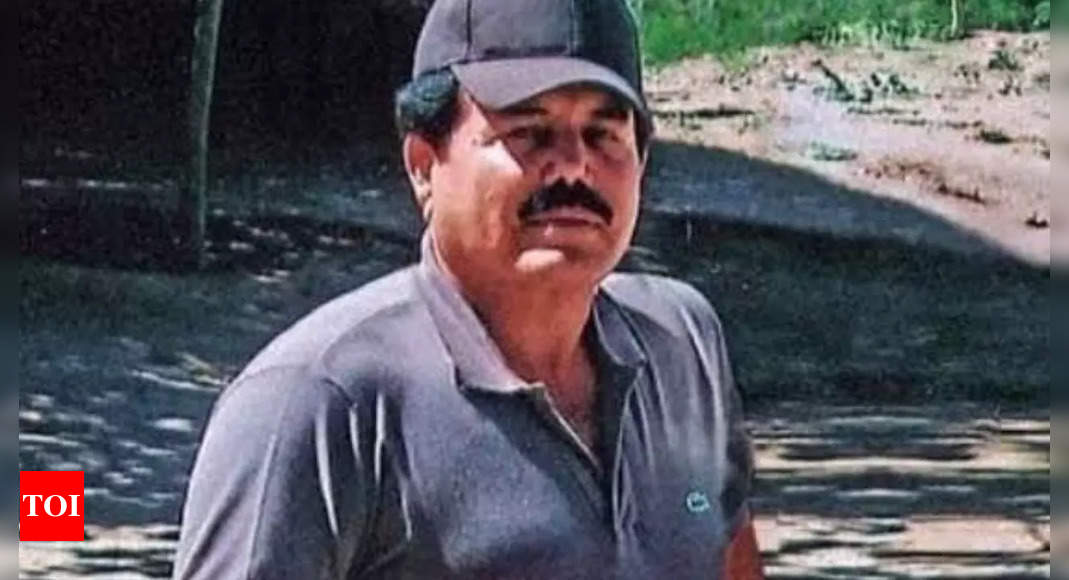 How El Chapo’s son helped US capture ‘last godfather’ of Sinaloa drug cartel – Times of India