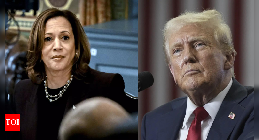 Harris Slams Trump's Racial Remark, Calls for Unity