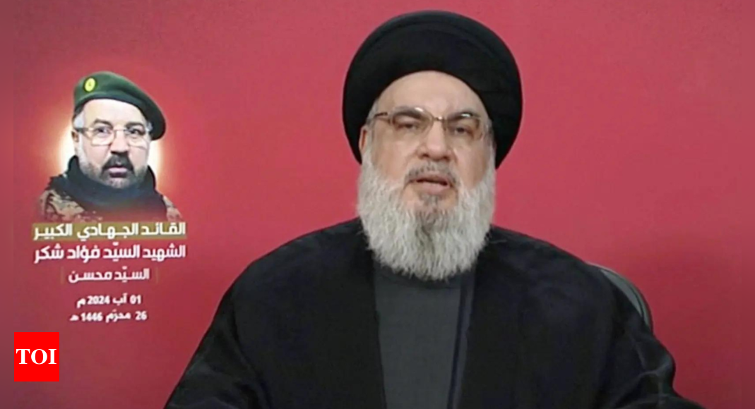 Hezbollah leader warns of ‘new phase’ in conflict after Israeli airstrike – Times of India