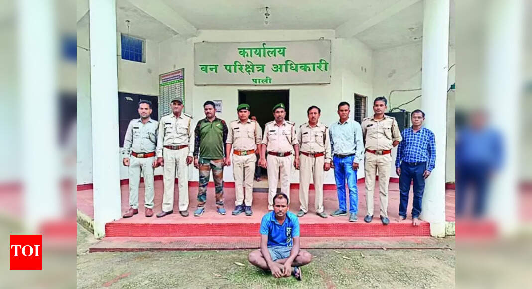 Wildlife Poaching: Main accused in wildlife poaching case arrested in ...