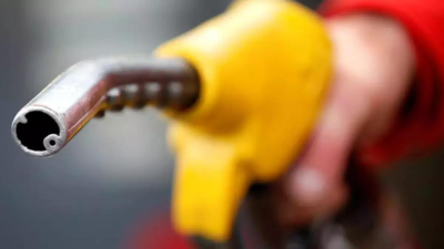 business new tamfitronics Petrol, diesel sales rise in July, power demand subdued