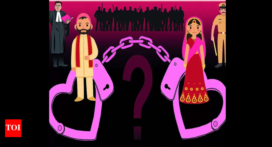 UP woman returns post interfaith marriage in Karnataka, sent to shelter ...