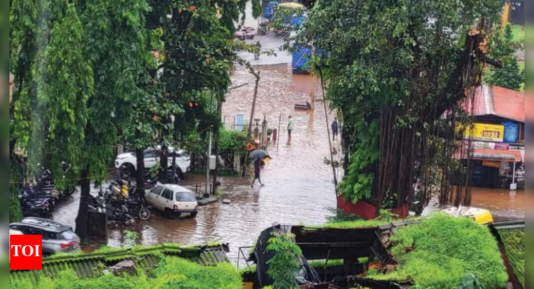 Flooded Goa swamped by fear of 2019 calamity | Goa News - Times of India