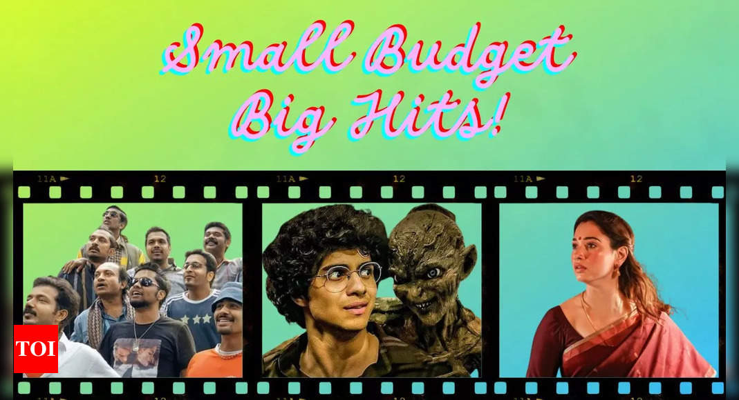 Small Budget Movies Dominate First Half of 2024 |