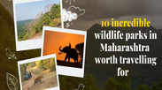 10 incredible wildlife parks in Maharashtra worth travelling for   