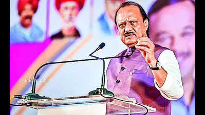 Mahayuti parties will contest on seats won in 2019: Ajit Pawar