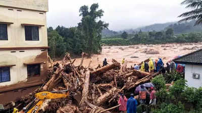 Wayanad tragedy: Over 380 buildings come up every year in landslide-hit Kerala panchayat Meppadi