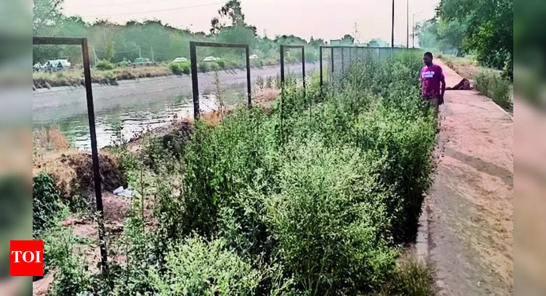 Sidhwan Canal: Sidhwan Canal closure for bridge construction | Ludhiana ...