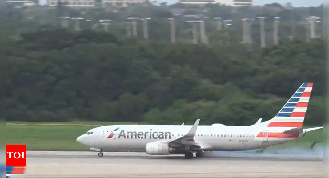 Passenger spots lice crawling in woman’s hair mid-air, forces American Airlines emergency landing – Times of India