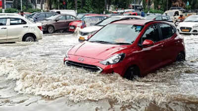Flyers face double trouble due to rain and DigiYatra glitches at ...