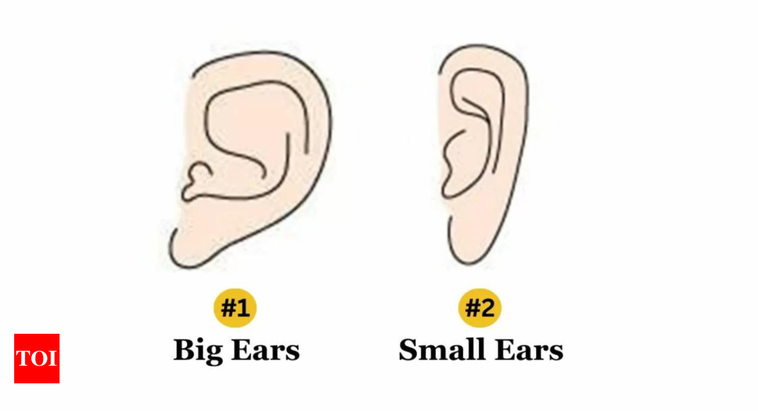 Personality Traits: The size of your ears can uncover your hidden traits |