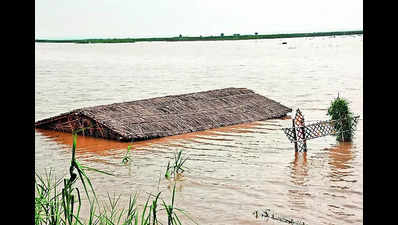 Sone floods parts of Rohtas district